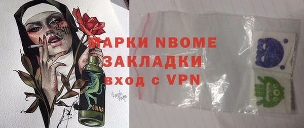 молекула духа Елабуга