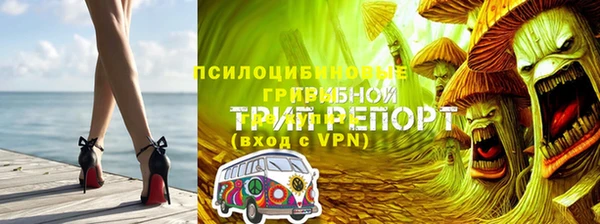 молекула духа Елабуга