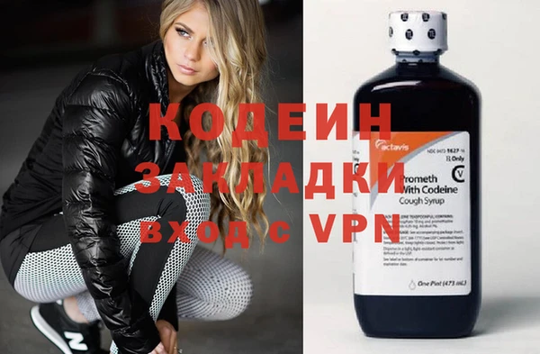 молекула духа Елабуга