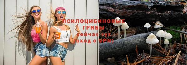 молекула духа Елабуга