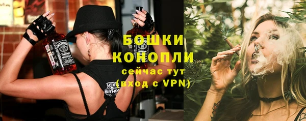 молекула духа Елабуга