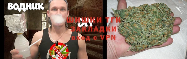 молекула духа Елабуга