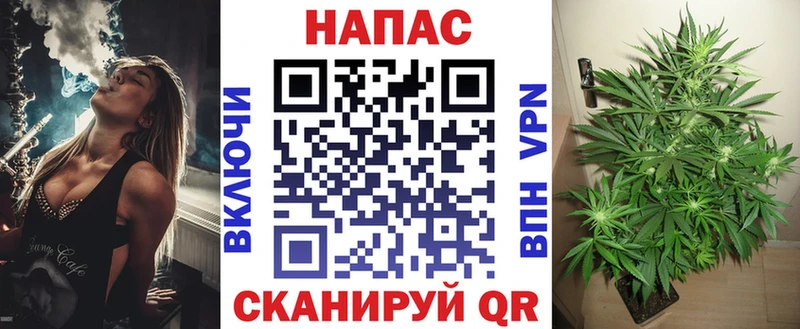 Каннабис ГИДРОПОН  Купить  Копейск 